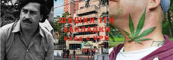 дурь Алексин
