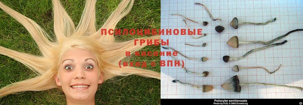 дурь Алексин